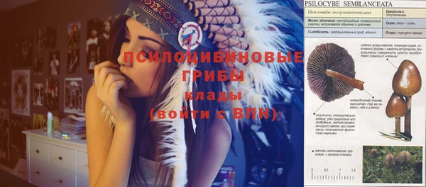 бошки Рославль