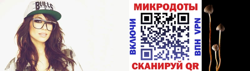 где продают наркотики  Белокуриха  Галлюциногенные грибы Psilocybe 